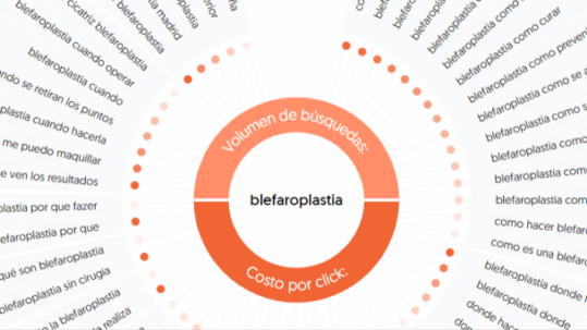 busqueda-visual-de-palabras-clave-e-ideas-de-contenido-AnswerThePublic