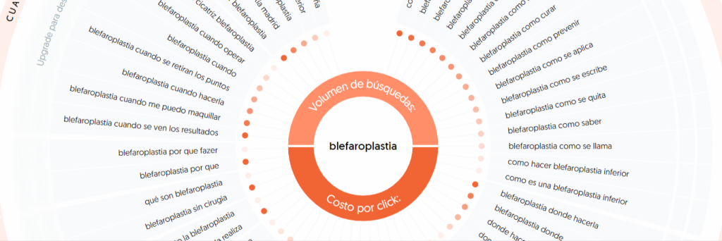 busqueda-visual-de-palabras-clave-e-ideas-de-contenido-AnswerThePublic
